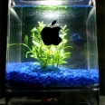 The Mac G4 Cube Fish Tank Mod is Extremely Cool