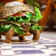 Turtle Hamburger with a Dubious Message