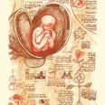 Leonardo Da Vinci Drawing of Super Mario