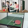 Ping Pong Table Door Design