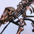 Skeleton Art on a Bicycle Ride