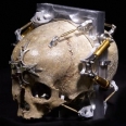 Skull Pinhole Camera: Morbid Photography