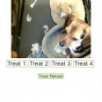 How To Feed Your Dog with the iPhone