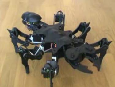 giant-ant-hexapod-robot