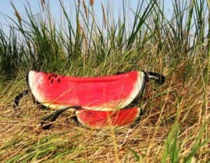 watermelon-bag-design-4