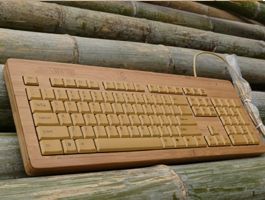 computer keyboard bamboo shoots