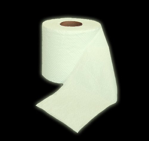funny toilet paper glows in the dark
