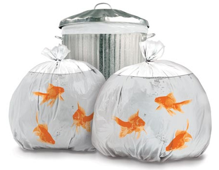 goldfish trash bags