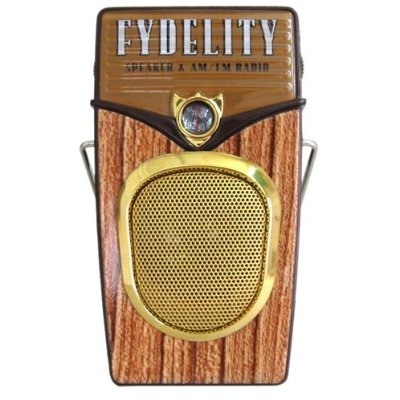 Fydelity FYTONE MP3 SPEAKER & RADIO(1)
