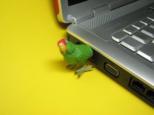 Parrot-USB-Flash Drive