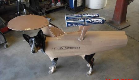starship enterprise costume for dogs