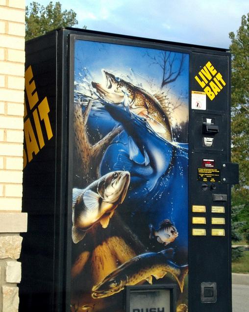 live bait vending machine image