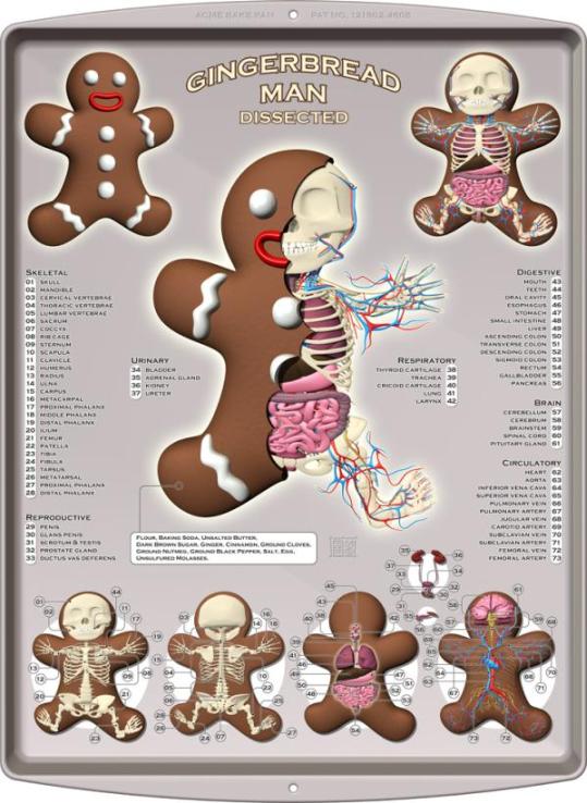 Gingerbread man anatomy design image