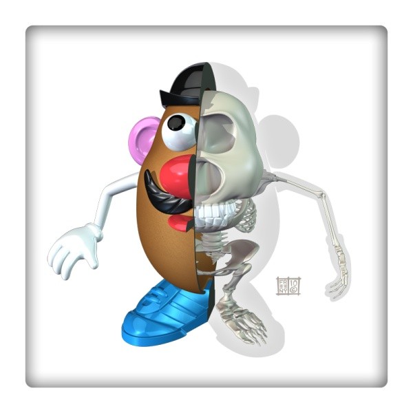 mr potato head anatomy design image